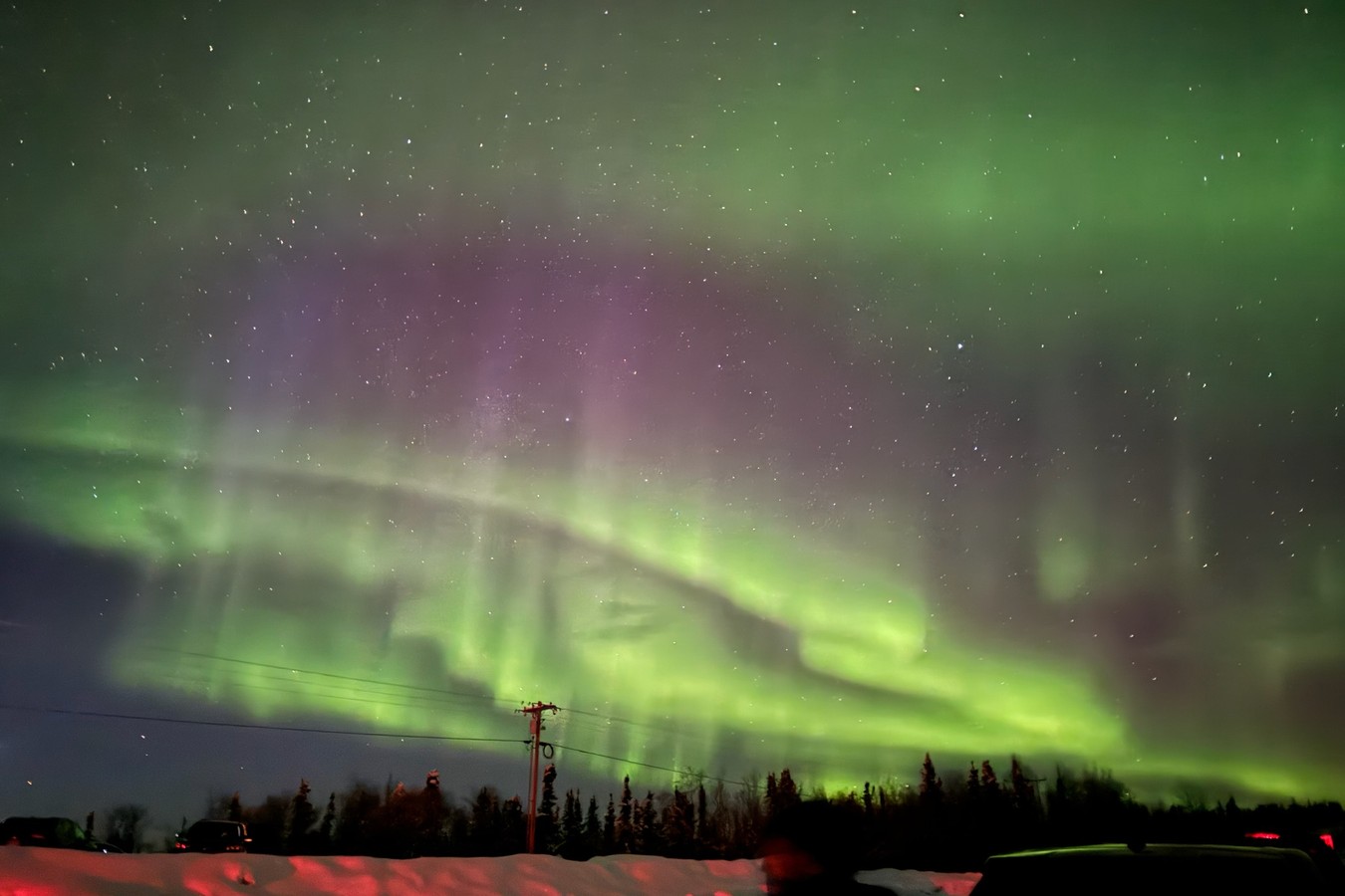 A wide green and violet aurora over the treeline, from the trip