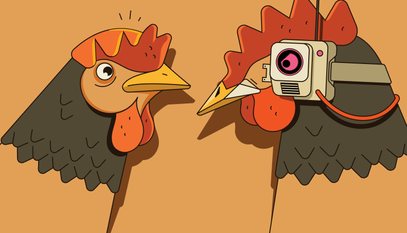 Illustration for awareness: two chickens face off, one wearing a camera headset